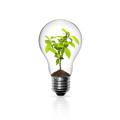 GKLElectric-abstract-bulb