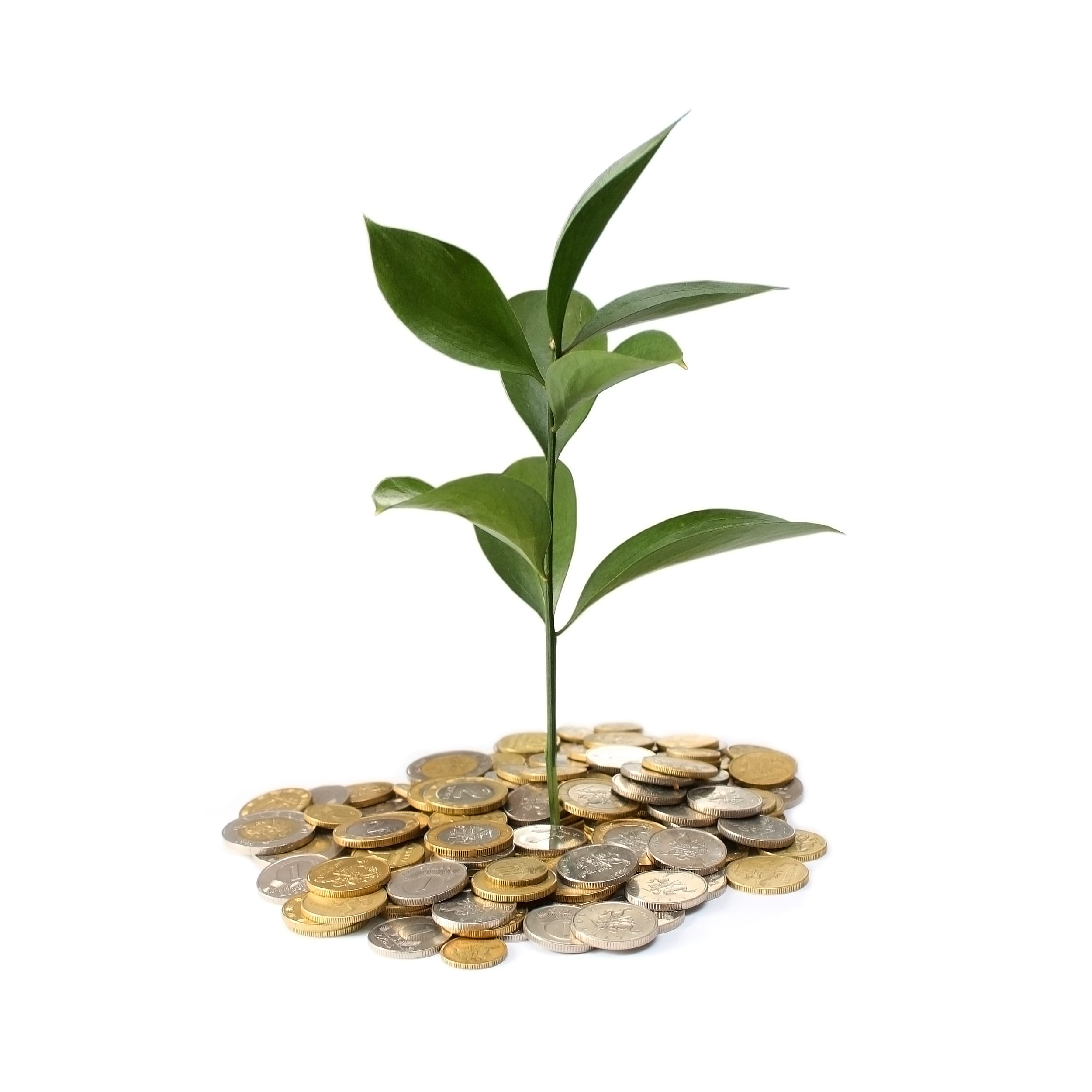 eco-leaf