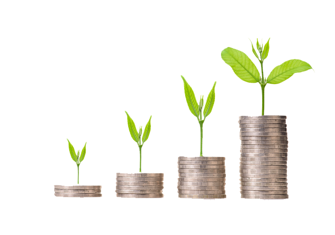 white-background-growing-coins